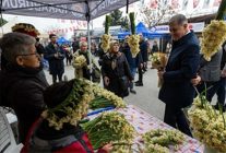 8 karaburun nergis festivali basladi