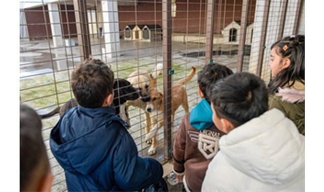 86 bin tedavi 13 bin kisirlastirma