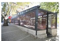 eros kedi klinigi bornovada umut merkezi oldu