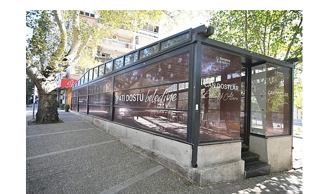 eros kedi klinigi bornovada umut merkezi oldu