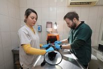 gaziemir belediyesi 6 bin 222 can dostun yasamina dokundu