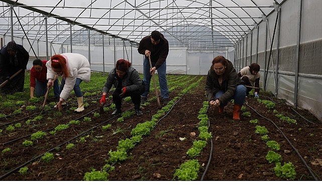 kadin ve gencler buyuksehirle tarima kazandiriliyor