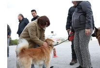 mavisehir mahallesinde buyuk donusum devam ediyor