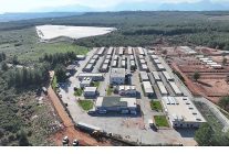 sokak hayvanlari gecici bakimevi can dostlara yeni yuva yolu oluyor