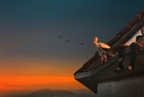 yarali leylek silyanin hikayesini anlatan silyan efsanesi 11 ocak pazar 20 00de national geographic ekranlarinda